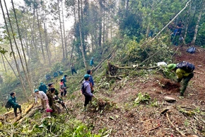 Các lực lượng tham gia chữa cháy rừng đang tạo đường băng cản lửa.