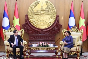 Chủ tịch Quốc hội Trần Thanh Mẫn gặp Phó Chủ tịch nước CHDCND Lào Pany Yathotou. (Ảnh: Thống Nhất/TTXVN)