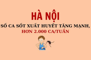 [Infographic] Số ca sốt xuất huyết tăng mạnh, hơn 2.000 ca/tuần