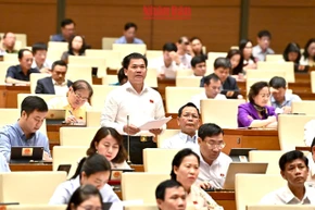 Khắc phục chồng chéo trong hệ thống pháp luật về đất đai 