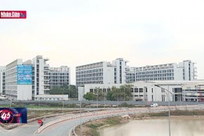 Xây dựng kịch bản, diễn tập ứng phó với đậu mùa khỉ