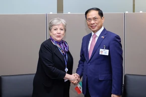 Bộ trưởng Ngoại giao Bùi Thanh Sơn gặp gỡ Bộ trưởng Ngoại giao Mexico. (Ảnh: Báo Việt Nam và Thế giới)