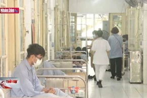 Số lượng bệnh nhân sốt xuất huyết tăng vọt trong bệnh viện tại Hà Nội