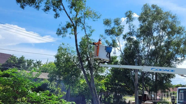 EVNCPC tổ chức phát quang hành lang tuyến, gia cố các điểm xung yếu. ndo_br_2.jpg
