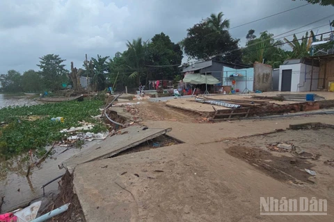 Sạt lở đất đe dọa cù lao Mỹ Hòa Hưng.