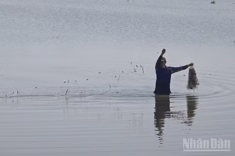 Nông dân An Giang đánh bắt thủy sản bằng ngư cụ truyền thống.