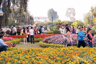 Du khách trải nghiệm vườn hoa trên địa bàn phường Lâm Viên, Đà Lạt.