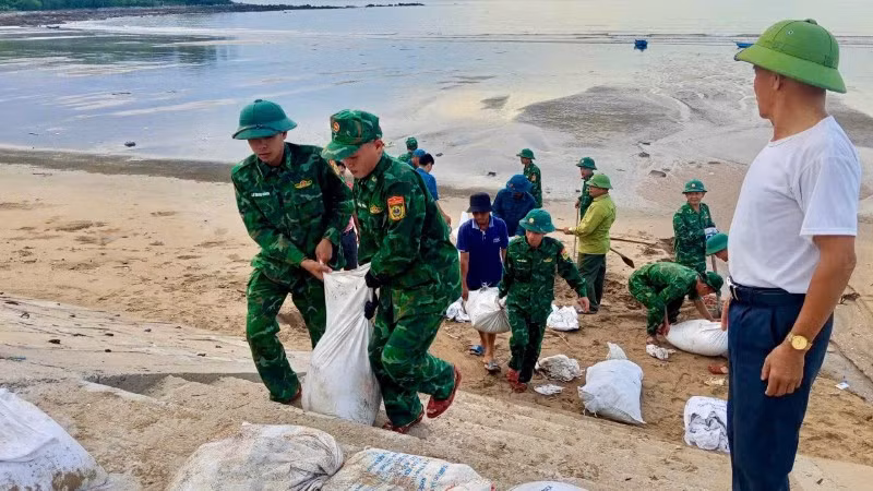 Cán bộ chiến sĩ Đồn Biên phòng Quỳnh Phương tích cực tham gia gia cố đê biển thuộc phường Tân Minh và phường Tân Mai.