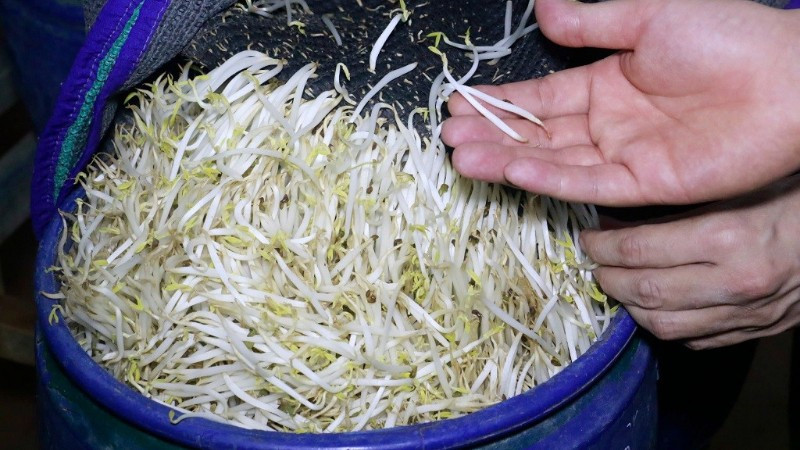 Các đối tượng ngâm “nước kẹo” để rút ngắn thời gian ủ giá và giá cũng mập hơn.