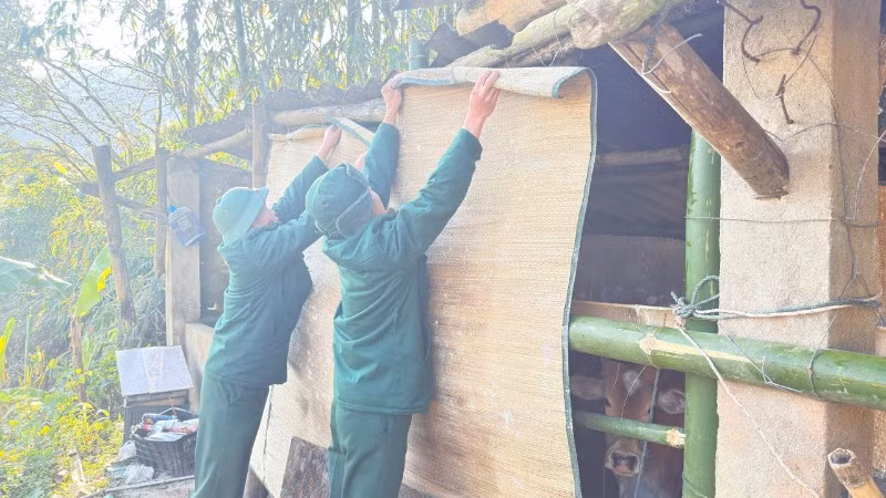 Cán bộ, chiến sĩ Đồn Biên phòng Na Ngoi hỗ trợ bà con nhân dân che chắn chuồng trại. (Ảnh: LÊ THẠCH)