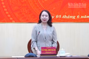 Đồng chí Võ Thị Ánh Xuân, Bí thư Trung ương Đảng, Phó Chủ tịch nước, Trưởng Đoàn Kiểm tra, giám sát số 29 của Bộ Chính trị, Ban Bí thư phát biểu tại hội nghị.