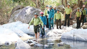 Lực lượng Hạt Kiểm lâm rừng đặc dụng Phước Bình, ở xã Bác Ái Tây (Khánh Hòa) xuất quân tuần tra, bảo vệ rừng trong những ngày Tết Bính Ngọ 2026. (Ảnh: NGUYỄN TRUNG)