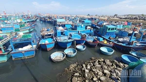 Một góc cảng cá Mỹ Tân, tỉnh Khánh Hòa. (Ảnh: NGUYỄN TRUNG)
