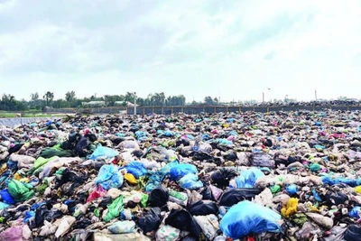 Trên địa bàn tỉnh Vĩnh Long chưa có nhà máy xử lý rác vận hành cho nên rác được đổ lộ thiên, gây ô nhiễm môi trường.