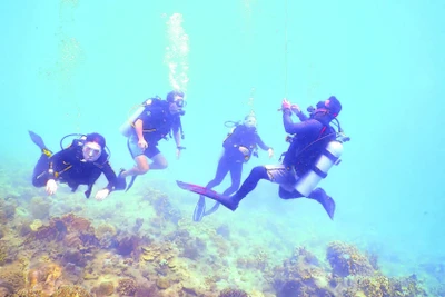 Lặn biển đang là loại hình du lịch được yêu thích ở Nha Trang, Khánh Hòa. (Ảnh CTV)