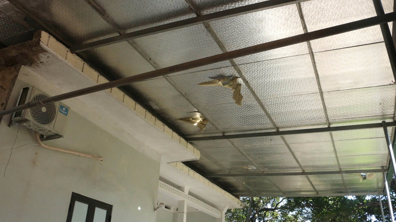 Hộ gia đình bà Lê Thị Ly bị đất đá làm sập tường rào phía sau nhà, mái ngói, mái tôn bị đá rơi vỡ làm thủng nhiều chỗ. 2.jpg