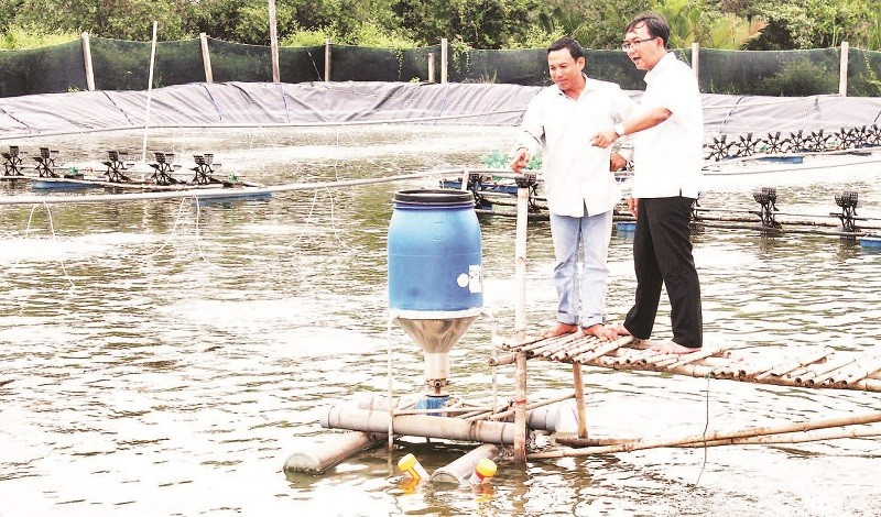 Đảng viên hỗ trợ đồng bào dân tộc thiểu số kỹ thuật nuôi tôm công nghệ cao ở Sóc Trăng. (Ảnh NGUYỄN PHONG)