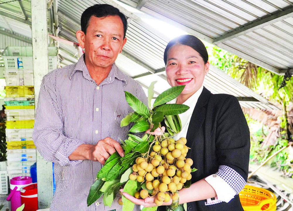 Thanh nhãn được xem là sản phẩm xuất khẩu thế mạnh của Vina T&T Group trong nhiều năm qua.