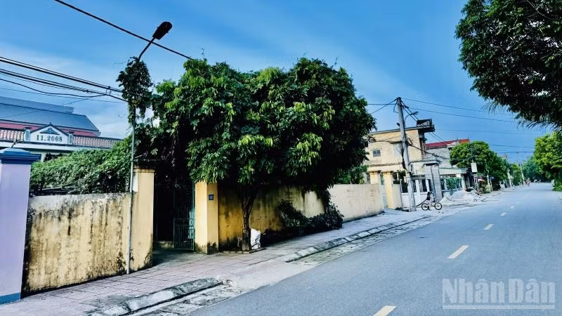 Đất nền đang là phân khúc tăng trưởng mạnh nhất của thị trường bất động sản những tháng đầu 2025 này. (Ảnh: HNV)