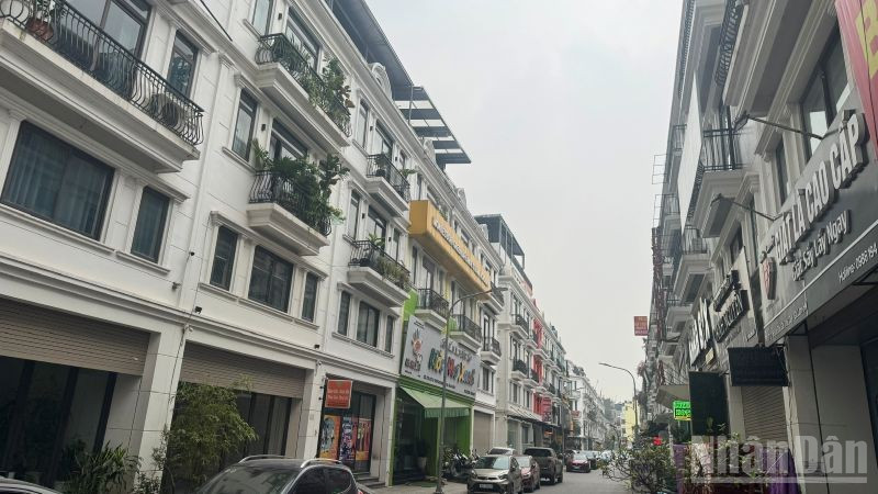 Một khu biệt thự liền kề phía đông Thủ đô. (Ảnh: HNV)