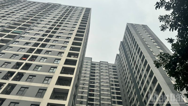 Xu hướng chủ yếu 2026 sẽ chuyển dịch mạnh sang đầu tư dài hạn thay vì đầu cơ lướt sóng. (Ảnh: HNV)