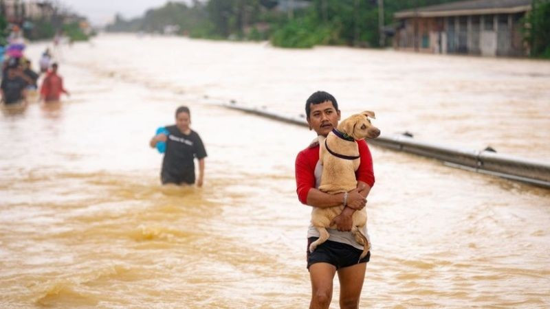 Cảnh ngập lụt tại Hat Yai, tỉnh Songkhla, Thái Lan, ngày 25/11/2025. (Ảnh: THX/TTXVN)