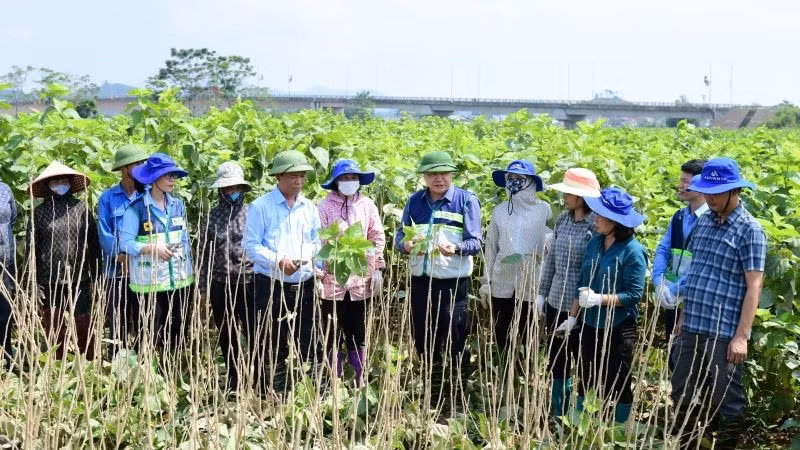 Ông Lê Quốc Thanh, Giám đốc Trung tâm Khuyến nông Quốc gia (thứ 6 từ phải sang) trao đổi với nông dân tỉnh Lào Cai về giải pháp chăm sóc cây dâu tằm sau bão lũ. (Ảnh: KHUYẾN NÔNG QUỐC GIA)