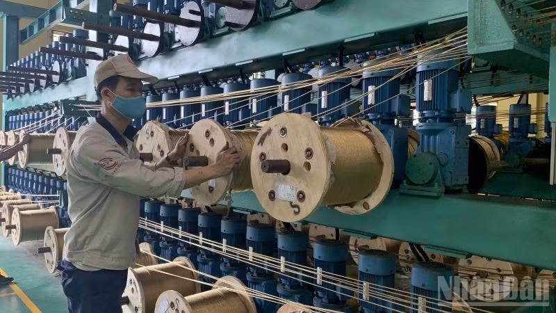 Số lao động trong tháng 1/2026 trong doanh nghiệp gia tăng. (Ảnh: HNV)