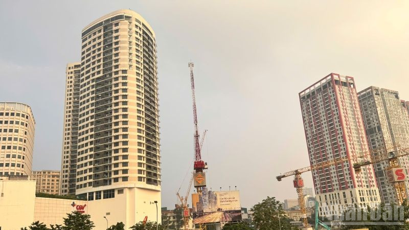 Thị trường sẽ tiến dần tới nhu cầu ở thực là chủ yếu. (Ảnh: HNV)