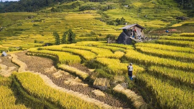 Cân nhắc các quy định thu hồi đất cần sát thực tế và phù hợp bối cảnh phát triển mới. (Ảnh: PV)