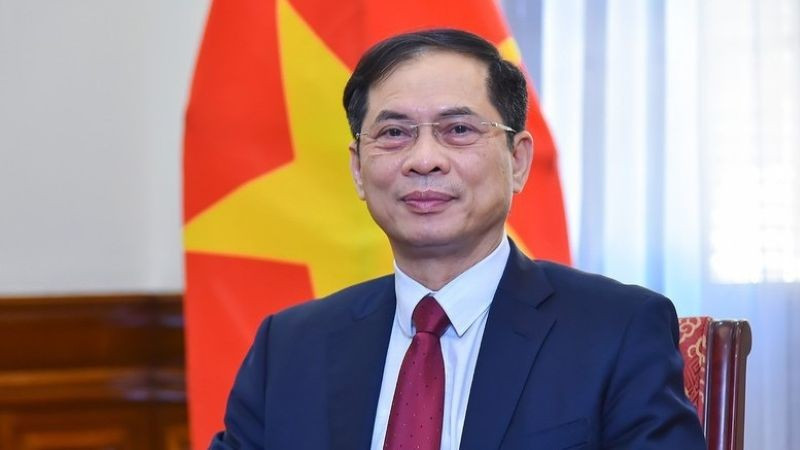 Theo Quyết định, Phó Thủ tướng Chính phủ Bùi Thanh Sơn làm Trưởng Ban Chỉ đạo. (Ảnh: chinhphu.vn)