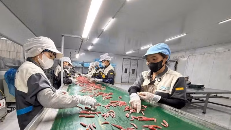 Doanh nghiệp tư nhân đầu tư dây chuyển sản xuất nông sản hiện đại, nâng cao năng suất và gia tăng giá trị sản phẩm phục vụ xuất khẩu. (Ảnh: PV)