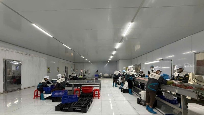 Tỷ lệ hộ đánh giá có thu nhập tháng 8 không thay đổi và tăng lên so với tháng cùng kỳ năm 2024 là 96,6%. (Ảnh: PV)