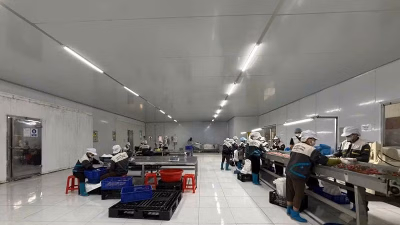 Tỷ lệ hộ đánh giá có thu nhập tháng 8 không thay đổi và tăng lên so với tháng cùng kỳ năm 2024 là 96,6%. (Ảnh: PV)