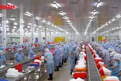 [Video] Cơ hội tái cấu trúc ngành hàng cá tra Việt Nam