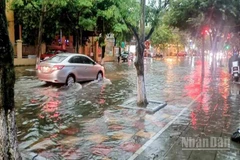 Mưa lớn làm nhiều tuyến phố tại phường Trần Hưng Đạo, phường Trà Lý (tỉnh Hưng Yên) ngập nặng.