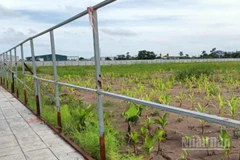 Một đoạn tường rào bao quanh Cụm công nghiệp Vũ Hội (tỉnh Hưng Yên) bị các đối tượng trên địa bàn phá hỏng hồi tháng 6/2025.