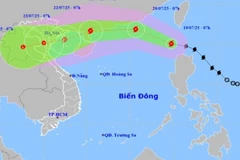 [Video] Chủ động ứng phó, bảo đảm an toàn hệ thống đê điều trước bão số 3