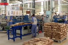 [Video] Ngành gỗ chủ động ứng phó phòng vệ thương mại, hướng tới mục tiêu xuất khẩu 18 tỷ USD