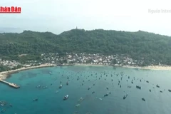 [Video] Thủ tướng chỉ đạo quyết liệt chống khai thác thủy sản bất hợp pháp