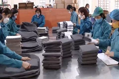 [Video] Hơn 1,3 triệu thanh niên không đi học, không đi làm