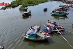 [Video] Miền Trung khẩn trương kêu gọi tàu thuyền tránh trú, ứng phó siêu bão Ragasa