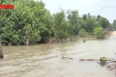 [Video] Nam Bộ triển khai cao điểm ứng phó mưa lũ, triều cường