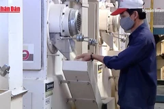 [Video] Gói vay nông, lâm, thủy sản cán mốc 94%, quy mô nâng lên 100.000 tỷ đồng