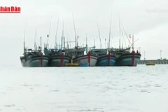 [Video] Việt Nam đề nghị Hoa Kỳ cân nhắc lại quyết định về thủy sản