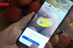 [Video] Công nghệ số - lá chắn chống hàng giả trên thương mại điện tử