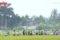 [Video] Đẩy mạnh xuất khẩu gạo bền vững