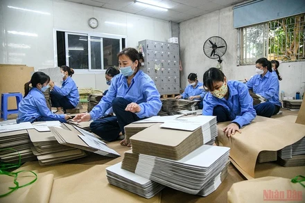 Ảnh minh họa: THÀNH ĐẠT