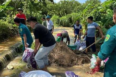 Chính quyền và nhân dân xã Thanh Trì đã khẩn trương triển khai công tác bảo đảm an toàn đê điều.