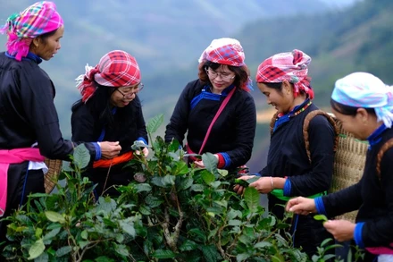Du khách Việt Nam trải nghiệm văn hóa tại bản Liền (Lào Cai). (Ảnh: CAO HƯƠNG)
